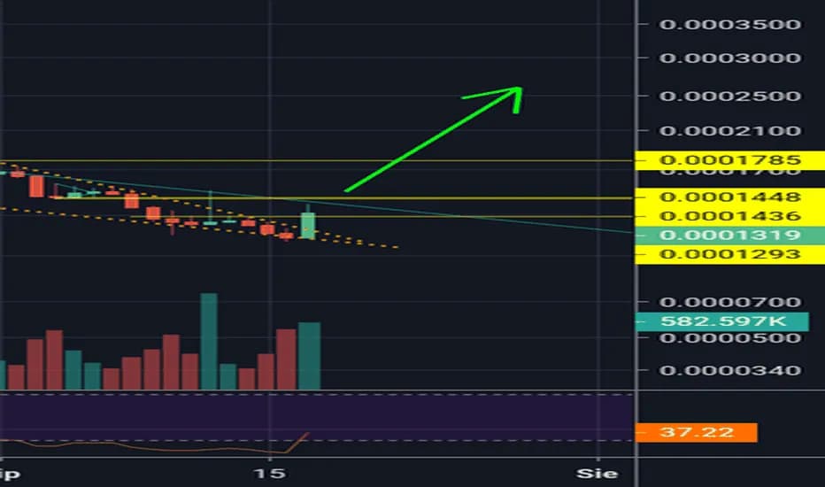 Kurs Lisk na BitBay: Jakie są obecnie trendy na rynku Lisk?