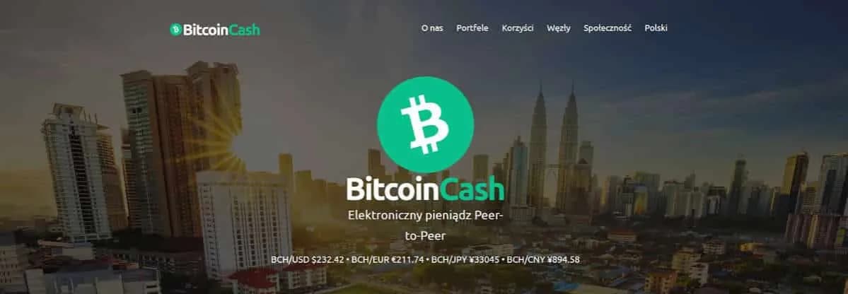 Bitcoin Cash czy warto: Analiza opłacalności inwestycji w BCH